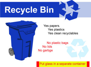 blue bin recyclables